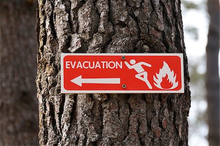safety signs - Fire Evacuation Sign on Tree Stock Photo - Rights-Managed, Code: 700-04929255