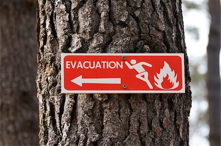 simsearch:693-06018946,k - Fire Evacuation Sign on Tree Foto de stock - Con derechos protegidos, Código: 700-04929255