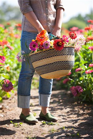 Frau mit Korb von Schnittblumen Stockbilder - Lizenzpflichtiges, Bildnummer: 700-04931668