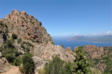 Calanches de Piana, Corse-du-Sud, Korsika, Frankreich Stockbilder - Lizenzpflichtiges, Bildnummer: 700-05389521