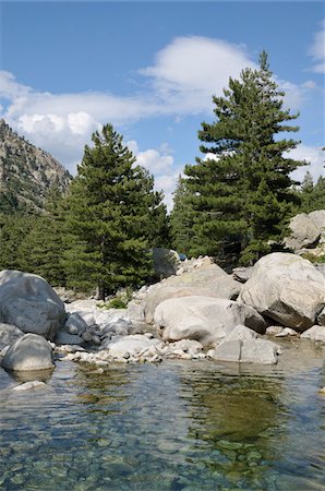 simsearch:879-09190975,k - Gorges de la Restonica, Haute-Corse, Corse, France Photographie de stock - Rights-Managed, Code: 700-05389523