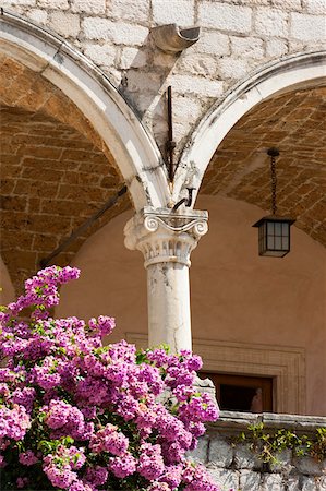 flower plant in balcony - The Garden Restaurant, Dubrovnik, Dubrovnik-Neretva County, Croatia Stock Photo - Rights-Managed, Code: 700-05451953