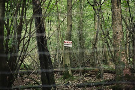 proprietà privata - Danger Keep Out Sign Posted on Tree in Forest, Forgewood, Kent, England Fotografie stock - Rights-Managed, Codice: 700-05452216