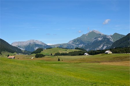 Glières Plateau, Bornes Massif, Haute-Savoie, France Foto de stock - Con derechos protegidos, Código: 700-05524324