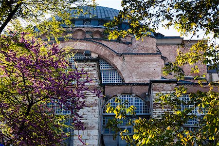 Hagia Sophia and Trees, Istanbul, Turkey Foto de stock - Con derechos protegidos, Código: 700-05609465