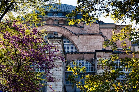 Hagia Sophia and Trees, Istanbul, Turkey Foto de stock - Con derechos protegidos, Código: 700-05609465