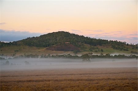 Farmland on Foggy Morning, Atherton Tablelands, Queensland, Australia Foto de stock - Con derechos protegidos, Código: 700-05609679