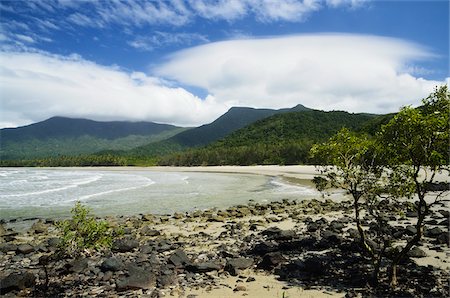 Myall Beach, Parc National de Daintree, Queensland, Australie Photographie de stock - Rights-Managed, Code: 700-05609671