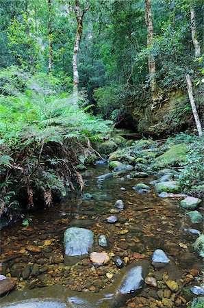 Greaves Creek, Parc National des monts bleus, New South Wales, Australie Photographie de stock - Rights-Managed, Code: 700-05609680