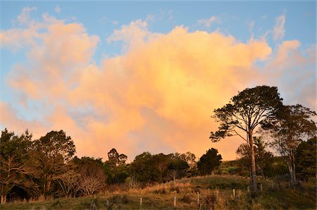 sunset australia - Countryside near Crediton, Queensland, Australia Stock Photo - Rights-Managed, Code: 700-05609683