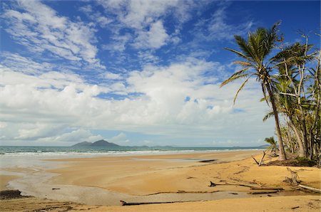 palm tree ocean scenes - Mission Beach and Dunk Island, Queensland, Australia Stock Photo - Rights-Managed, Code: 700-05609697