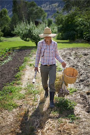 fresh vegetables in basket - Farmer on Organic Farm Stock Photo - Rights-Managed, Code: 700-05602724