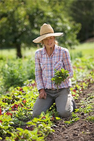people at work in canada pictures - Farmer on Organic Farm Stock Photo - Rights-Managed, Code: 700-05602721