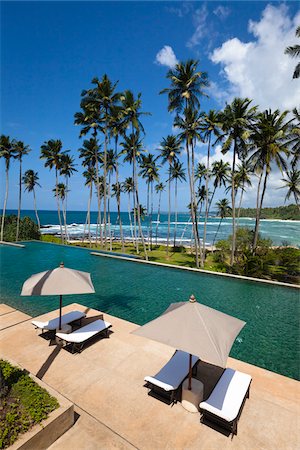 swimming pool trees nobody - Lounge Chairs and Swimming Pool, Amanwella Hotel, near Tangalle, Sri Lanka Foto de stock - Con derechos protegidos, Código: 700-05642154