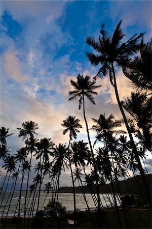 paradise beach - Beach at Sunset, Amanwella Hotel, Tangalle, Sri Lanka Foto de stock - Con derechos protegidos, Código: 700-05642164