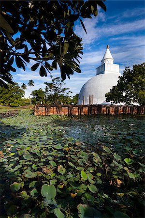 stupa - Yatala Wehera, Tissamaharama, Sri Lanka Photographie de stock - Rights-Managed, Code: 700-05642176