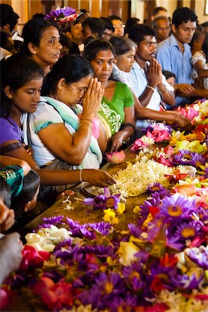 simsearch:700-05642333,k - People Leaving Offerings at Temple of the Tooth during Kandy Perehera Festival, Kandy, Sri Lanka Foto de stock - Con derechos protegidos, Código: 700-05642273