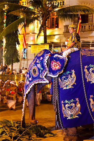 Man Riding Elephant, Esala Perahera Festival, Kandy, Sri Lanka Foto de stock - Con derechos protegidos, Código: 700-05642335