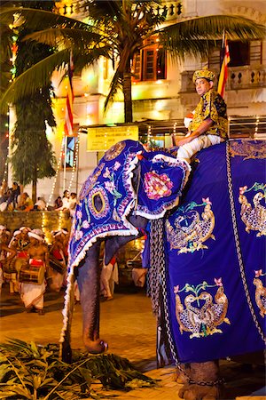 sri lankan ethnicity (male) - Man Riding Elephant, Esala Perahera Festival, Kandy, Sri Lanka Stock Photo - Rights-Managed, Code: 700-05642335
