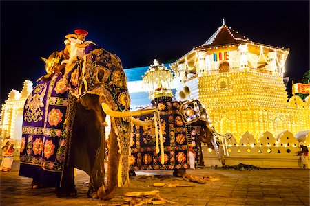 Elephants and Temple of the Tooth, Esala Perahera Festival, Kandy, Sri Lanka Foto de stock - Con derechos protegidos, Código: 700-05642336