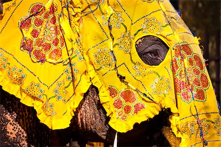 Close-Up of Elephant, Esala Perahera Festival, Kandy, Sri Lanka Stock Photo - Rights-Managed, Code: 700-05642337