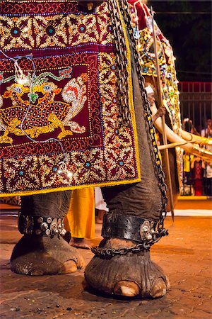 esala perahera - Éléphant au Festival Esala Perahera de Kandy, Sri Lanka Photographie de stock - Rights-Managed, Code: 700-05642342