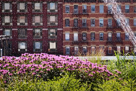 sprinkler not people - Watering Garden, High Line Urban Park, New York City, New York, USA Stock Photo - Rights-Managed, Code: 700-05642532