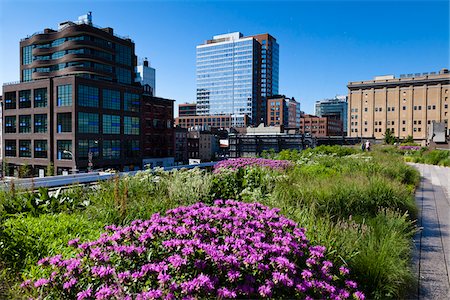 exterior office buildings - High Line Urban Park, New York City, New York, USA Stock Photo - Rights-Managed, Code: 700-05642533