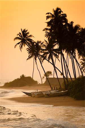 palm tree ocean scenes - Beach at Ambalangoda, Galle District, Sri Lanka Stock Photo - Rights-Managed, Code: 700-05642569