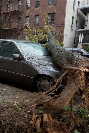 Arbre tombé sur la voiture Photographie de stock - Rights-Managed, Code: 700-05653257