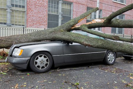 Arbre tombé sur la voiture Photographie de stock - Rights-Managed, Code: 700-05653260