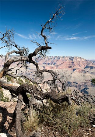 View of Grand Canyon, Arizona, Usa Foto de stock - Con derechos protegidos, Código: 700-05662429