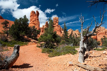 desert sky - Red Canyon, Dixie National Forest, Utah, USA Stock Photo - Rights-Managed, Code: 700-05756174