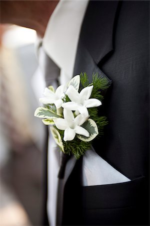 Gros plan de la boutonnière sur la boutonnière du marié Photographie de stock - Rights-Managed, Code: 700-05756406