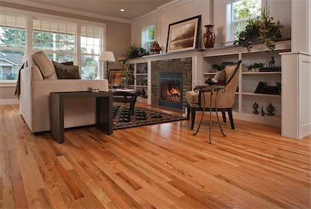 Residential interior living room space with fireplace and hardwood floors Stock Photo - Rights-Managed, Code: 700-05800526