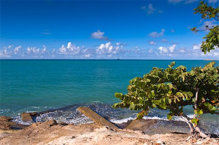 Fort Bay, Antigua, Antigua and Barbudo Stock Photo - Rights-Managed, Code: 700-05800552