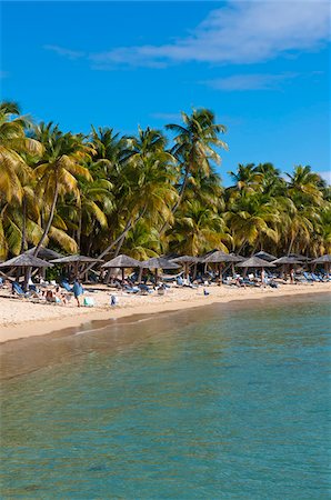 palm tree umbrella - Morris Bay Beach, Antigua, Antigua and Barbuda Stock Photo - Rights-Managed, Code: 700-05800563