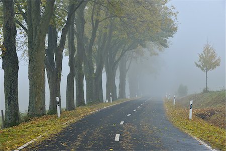 disappearing - Tree-Lined Country Road in Autumn, Rhon Mountains, Hesse, Germany Stock Photo - Rights-Managed, Code: 700-05803211