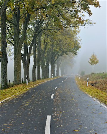 disappear - Tree-Lined Country Road in Autumn, Rhon Mountains, Hesse, Germany Stock Photo - Rights-Managed, Code: 700-05803212