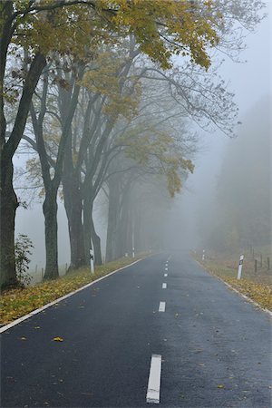 simsearch:700-05803211,k - Route de campagne bordée d'arbres en automne, montagne Rhon, Hesse, Allemagne Photographie de stock - Rights-Managed, Code: 700-05803213