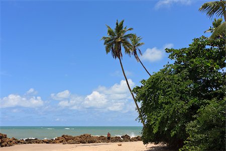 Praia de Tabatinga, Tabatinga Beach, Paraiba, Brazil Foto de stock - Con derechos protegidos, Código: 700-05810238