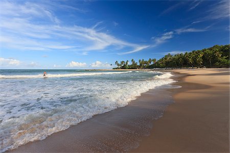 palm trees blue sky - Praia de Coqueirinho, Paraiba, Brazil Stock Photo - Rights-Managed, Code: 700-05810257