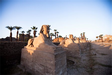 egipcio (lugares y cosas) - Sphinx at Luxor Temple, Luxor, Egypt Foto de stock - Con derechos protegidos, Código: 700-05822134