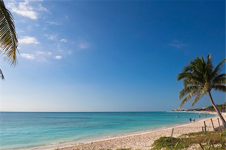 palm trees in the sky - Beach at Playa del Carmen, Mayan Riviera, Quintana Roo, Mexico Stock Photo - Rights-Managed, Code: 700-05855006