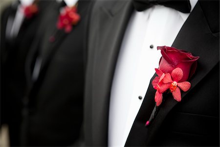 Close-Up of Boutonnieres on Groomsmen's Lapels Stock Photo - Rights-Managed, Code: 700-05855103