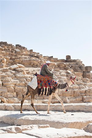 Man Riding Camel at Great Pyramid at Giza, Cairo, Egypt Foto de stock - Direito Controlado, Número: 700-05855192
