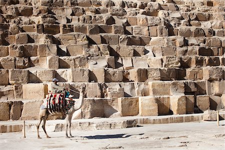 Man on Camel in front of Great Pyramid of Giza, Cairo, Egypt Foto de stock - Con derechos protegidos, Código: 700-05855193