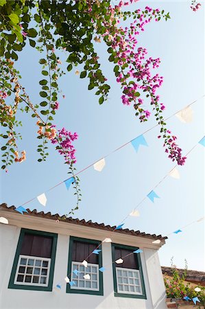 flower branch - Low-Angle View of Home, Paraty, Rio de Janeiro, Brazil Stock Photo - Rights-Managed, Code: 700-05947895