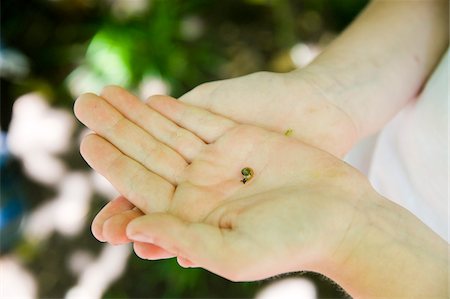 Garçon tenant un petit escargot en mains Photographie de stock - Rights-Managed, Code: 700-05969969