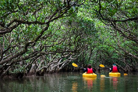 Kayaking at Kuroshio No Mori, Mangrove Park, Amami Oshima, Amami Islands, Kagoshima Prefecture, Japan Foto de stock - Direito Controlado, Número: 700-05974004